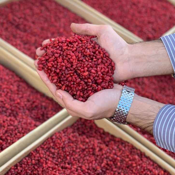 تصویر 4 از زرشک ارگانیک با کیفیت طبیعی و ممتاز